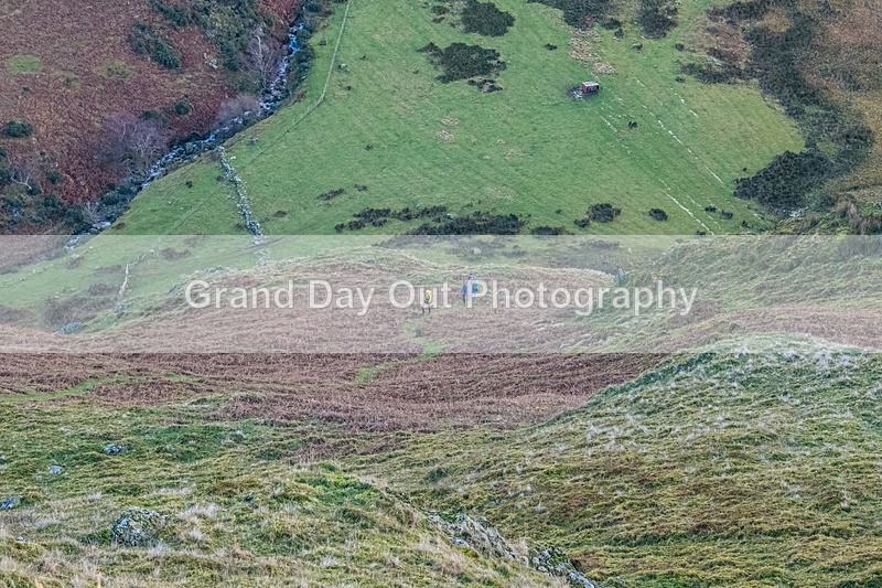 Wainwrights-15 - Carol Morgan Winter Wainwrights Round Friday 3rd January 2025