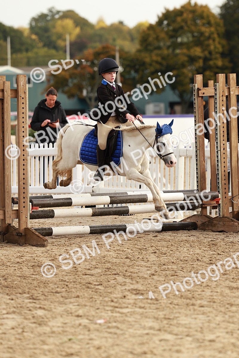 SBM_55738 - J11 - Junior Pony 50cm Championship
