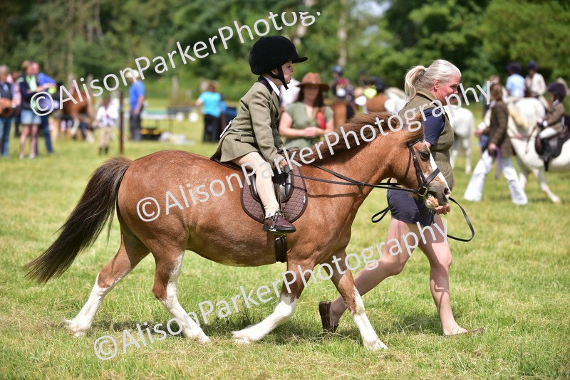 20260614-1254 - Class 11a - Lead Rein Pony (Unplaited)