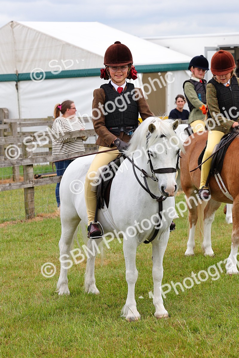 SBM_08807 - Class 42-43 - LIHS BSPS Heritage Working Sports Pony