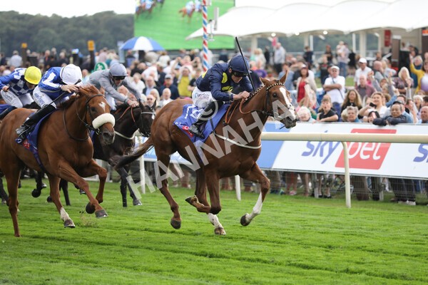 yr18082022r1-18 - Race 1 1.50pm Sky Bet Lowther Stakes