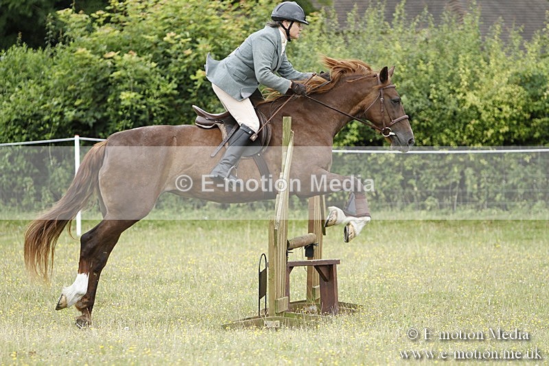 BVR160717-904 - Ring 3 BVRC Show 16/07/17