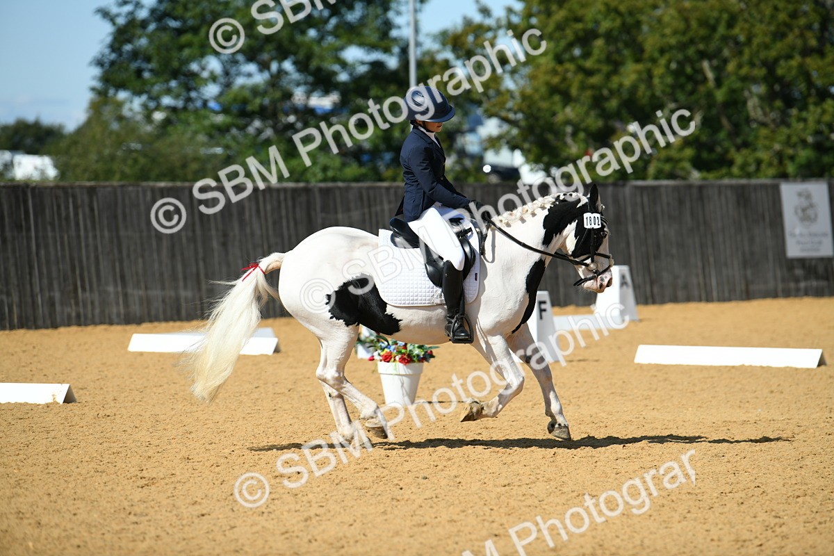 SBM_22715 - D13 - Grand Tour Championship - Prelim 12