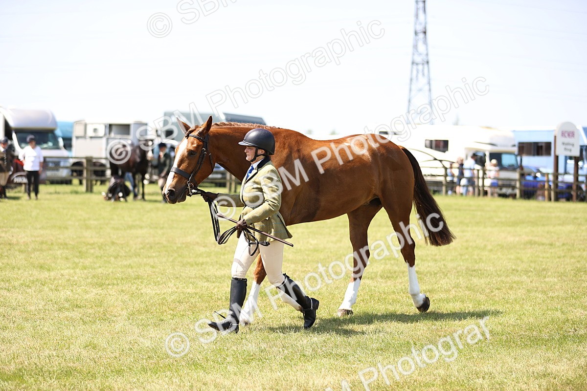 SBM_15192 - Class 79-80 - LIHS BSHA Rising Star Ridden Hunter