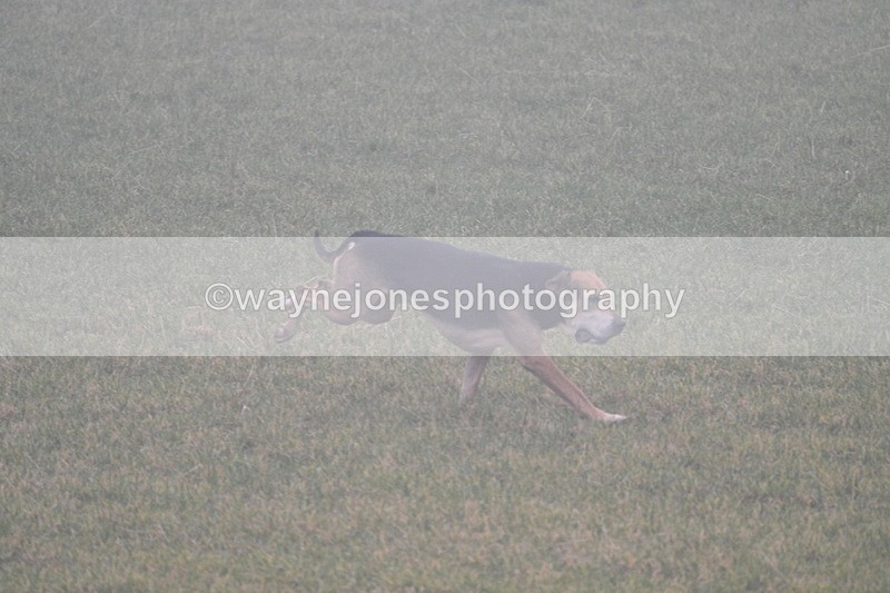 WJ7_3153 - A camera