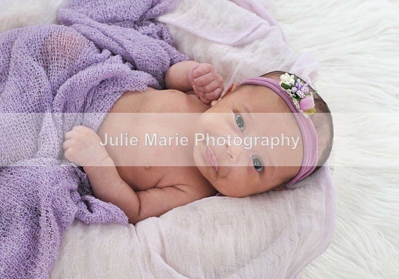 DSC_5005 - shannon