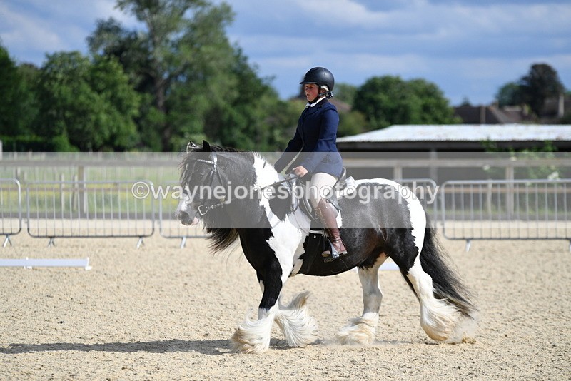 WJ5_7774 - Time 16:40 to 16:55