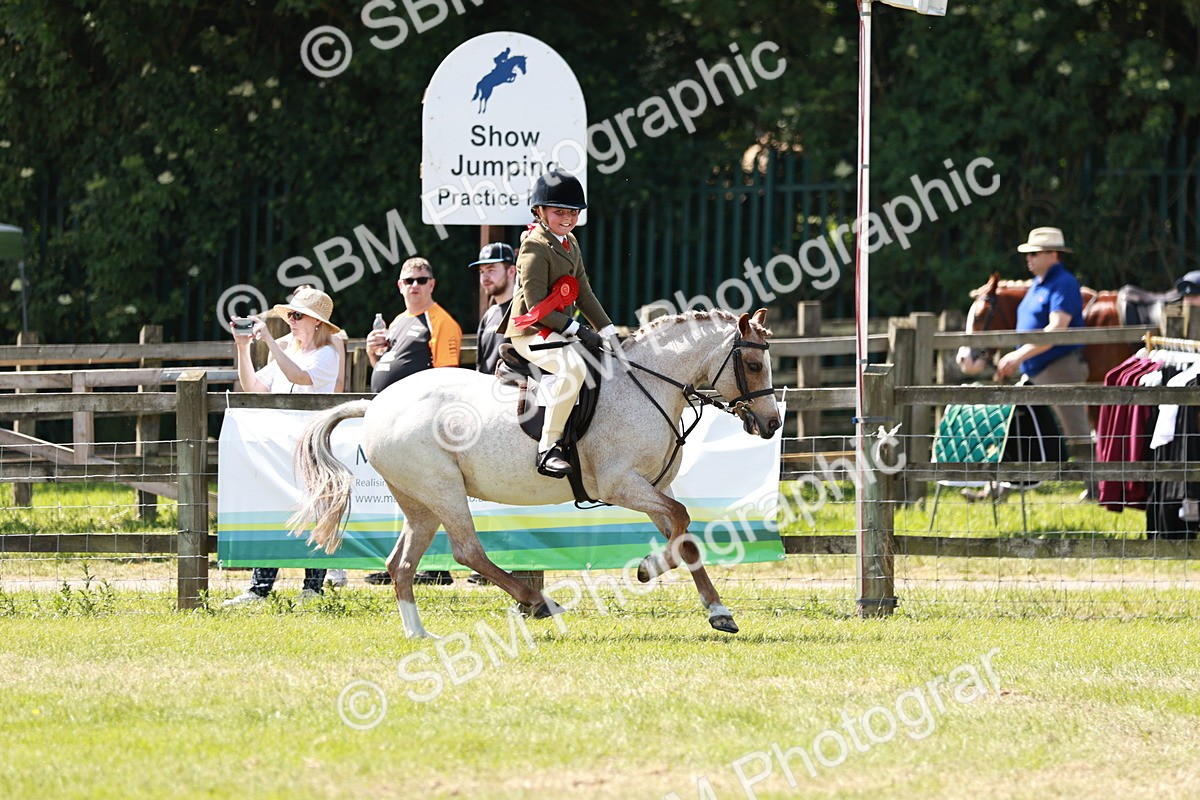 SBM_13670 - Class 108-109 - BSPS LIHS Open Gradle & Nursery Stakes