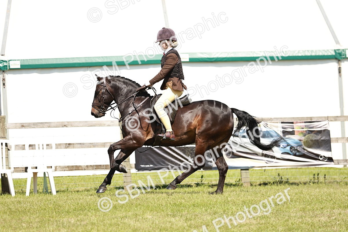 SBM_17650 - Class 112-113 - BSPS LIHS Working Sports Pony