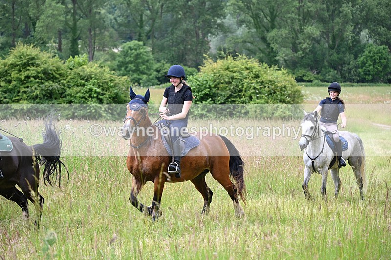WJ6_7937 - Camera 1 Gallops