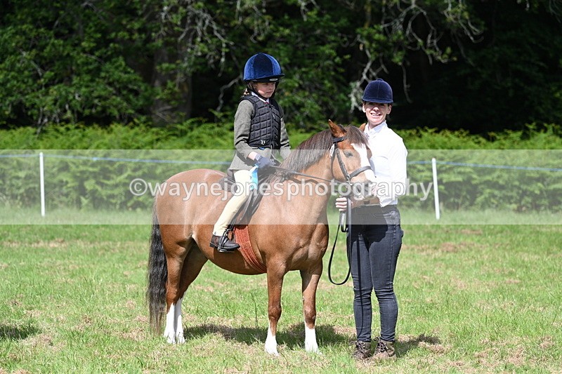 WJ7_0953 - Class 8 First Rally Pony