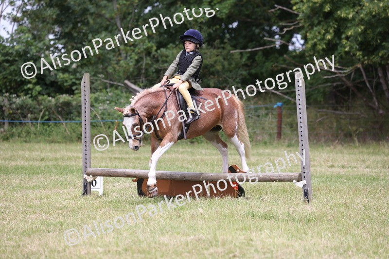 20260614-2040 - Class 21 - Novice Working Hunter Pony