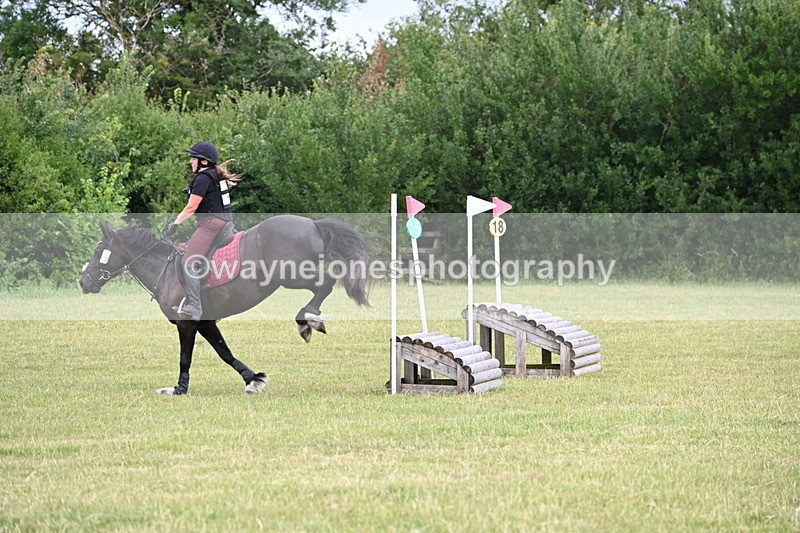 WJ6_5772 - 60cm Pairs XC