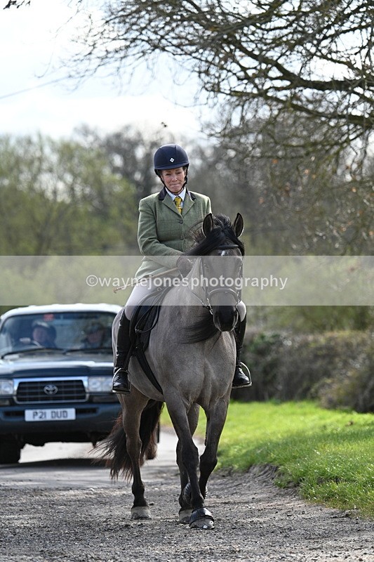 WJ7_9955 - Walk Home