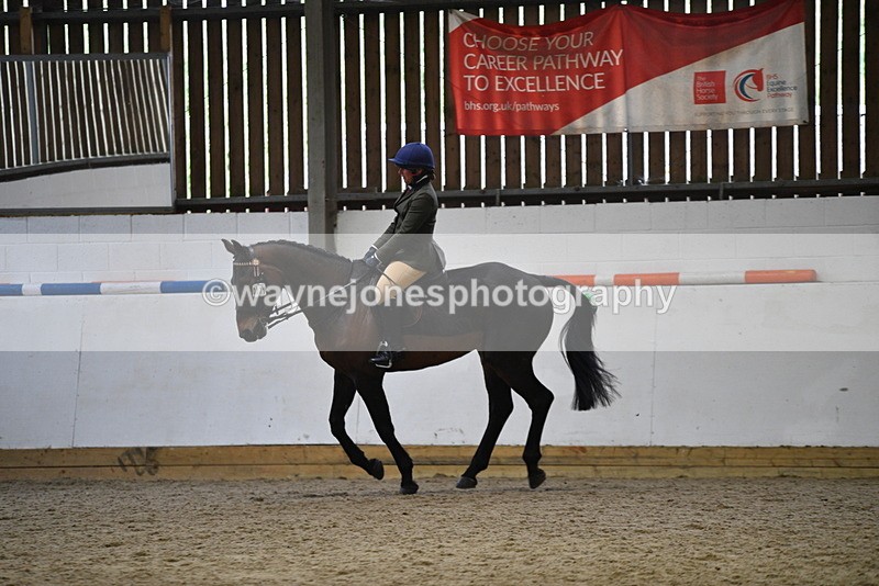 WJ5_8001 - Class 13 Ridden Part Breed