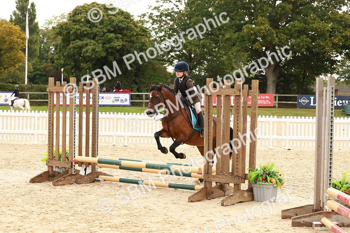 SBM_57722 - J11 - Junior Pony 50cm Championship