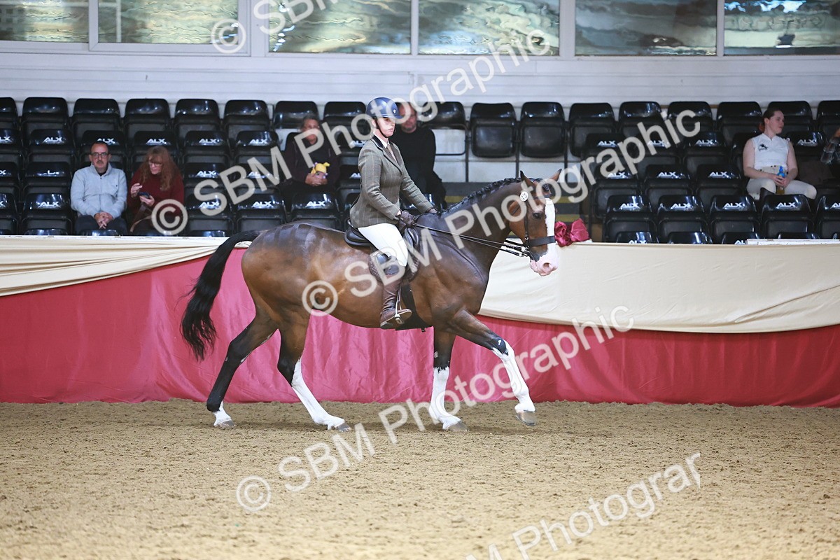 SBM_23985 - Class 905 - Supreme Final - Ridden Veteran