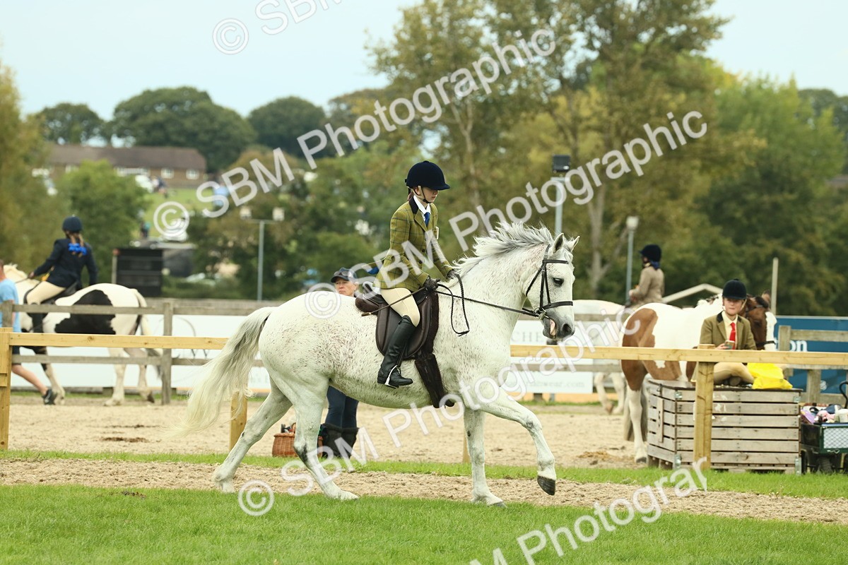 SBM_72045 - S60 - Mountain & Moorland Ridden Large Breeds