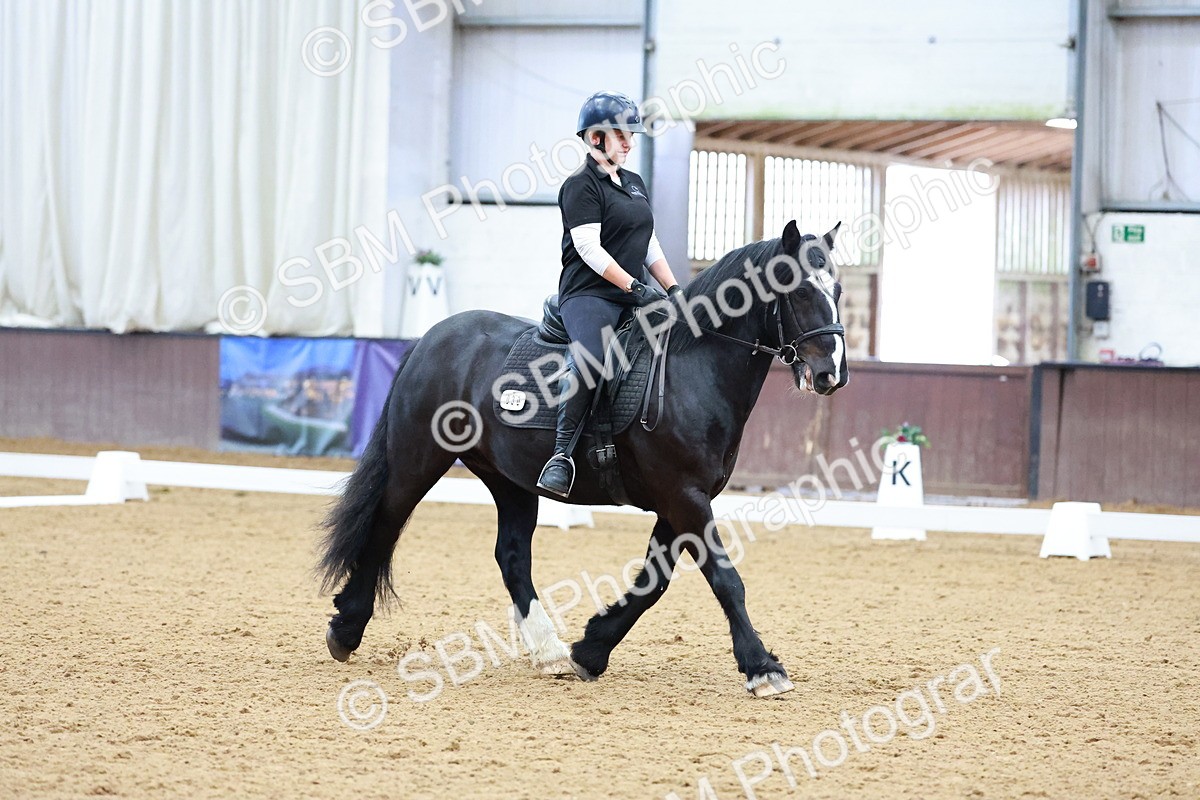 1I0A0778 - Class 3-6 - Prelim 1-Novice 2