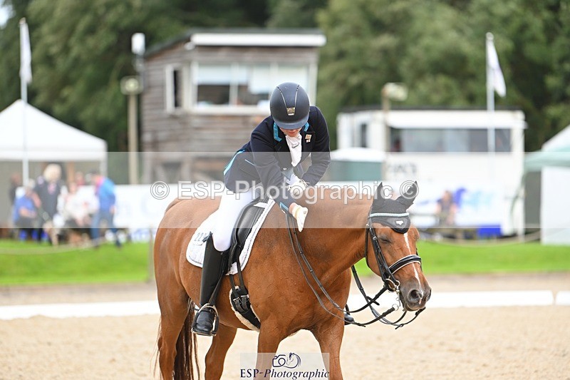 230813-134223-07628 - Cls 13 Medium Bronze 13.15 to End