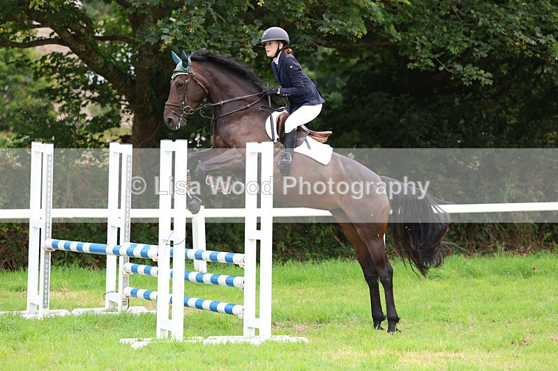 3E7A7006 - Class 5: Senior British Novice/90cm open