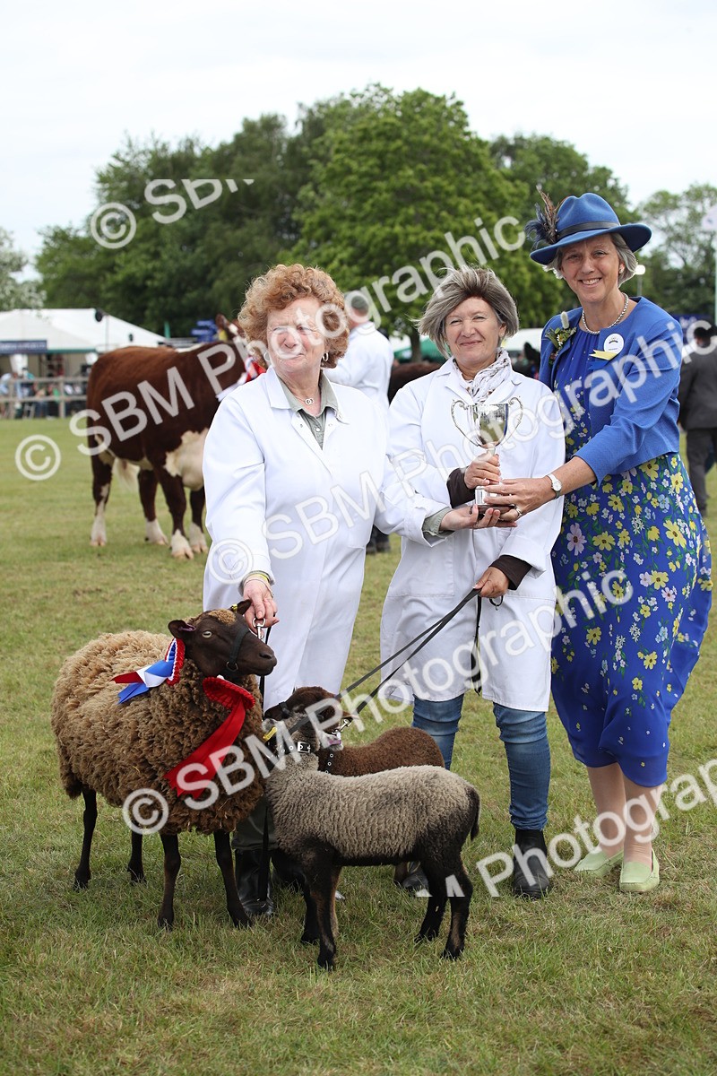 SBM_07880 - Grand Parade