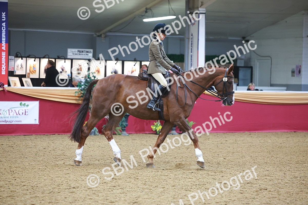 SBM_10654 - Class 103 - HOYS Veteran Qualifier - Ridden Pre Vet