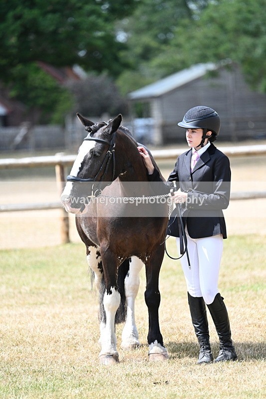 WJ7_1984 - Class 4a Prettiest Mare 14.2hh and over hand
