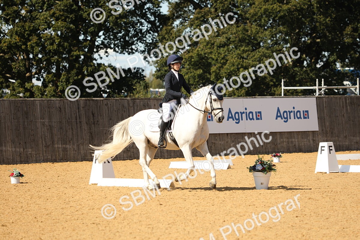 SBM_22352 - D17 - Grand Tour Championship - Novice 27