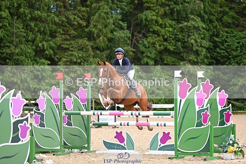 240526-140709-24430 - 251-MILESTONE_GOLD-Gaby_Bull