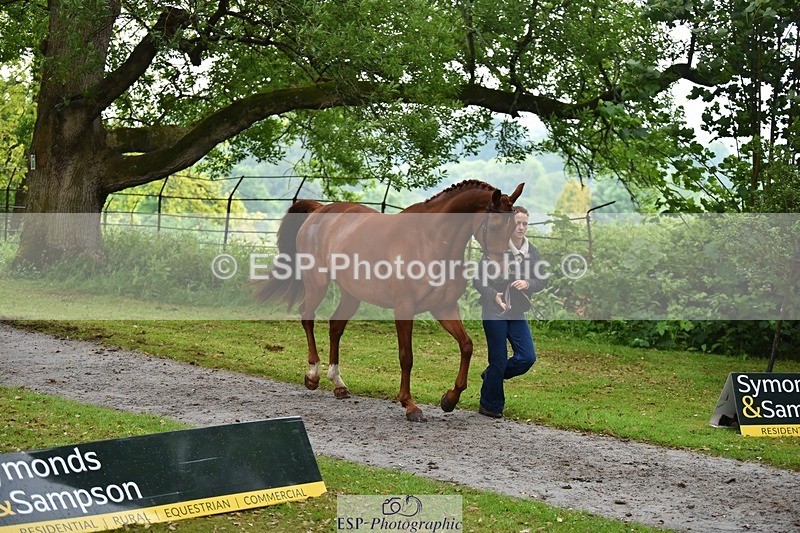 240522-164520-01131 - 219-HIT_CHAN_BOY_ALFA-Valentine_Emsens