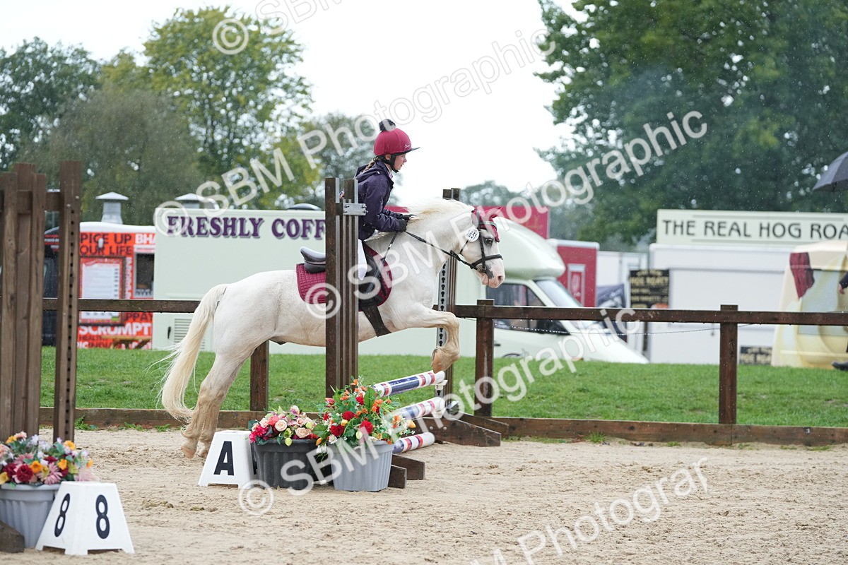 SBM_36328 - J5 - Junior Pony 50cm Championship