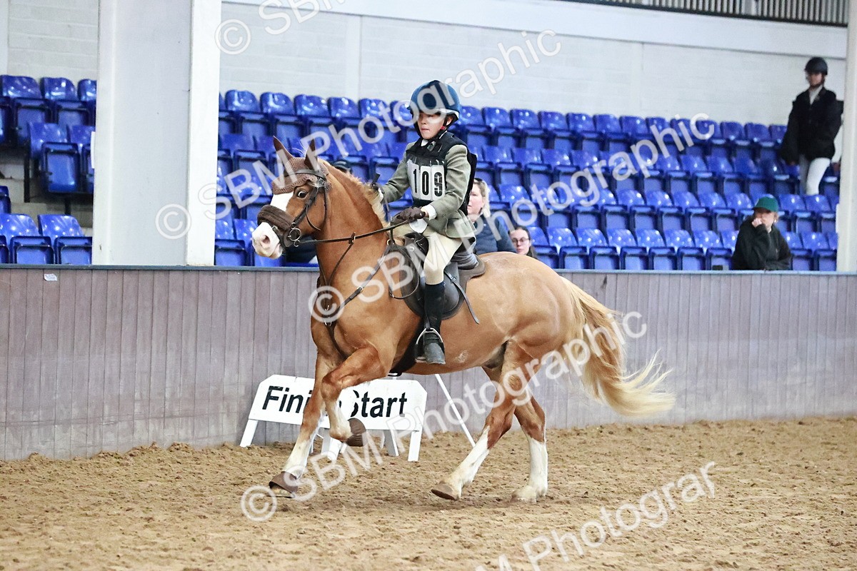 SBM_001244 - Class 4 - Show Jumping 70cm