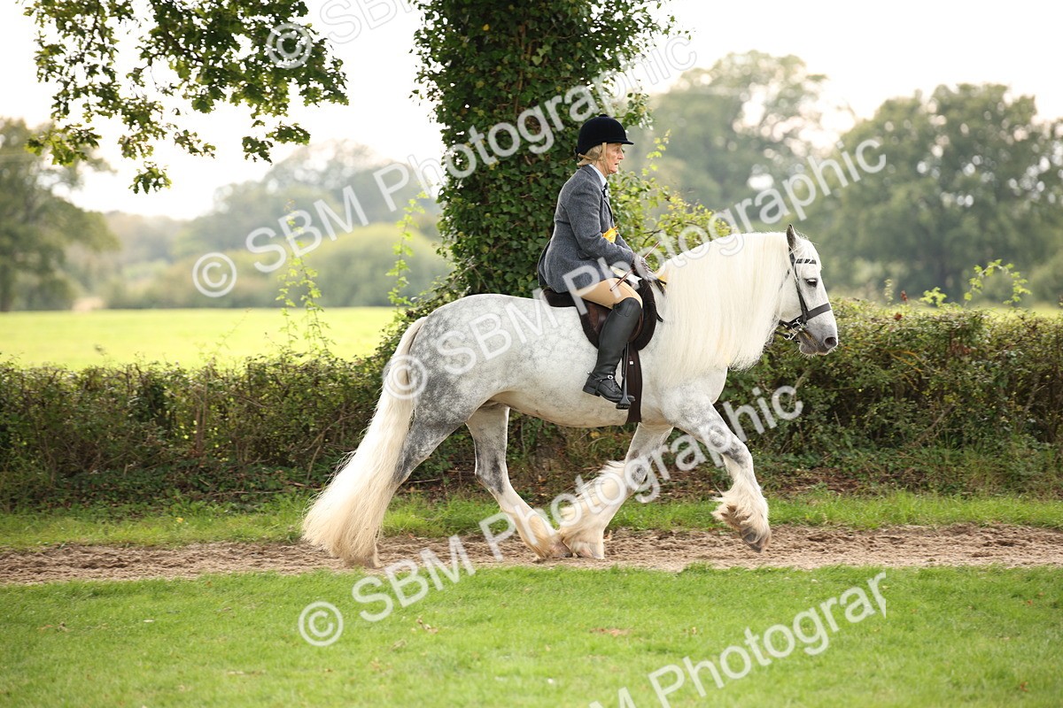 SBM_73628 - Ridden Horse Supreme Championship