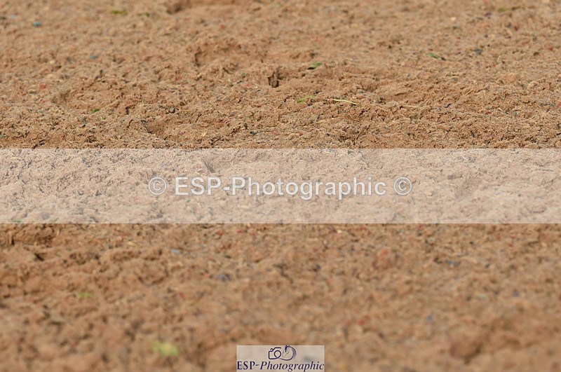 231104A-113632-01586 - Cls 5 Novice 37A