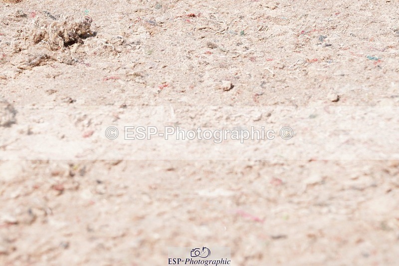 250510-130532-11377 - Cls 15 Prestige Big Star Quali  2nd Jump Off