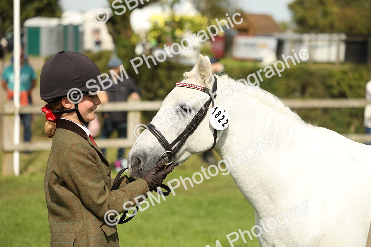 SBM_68641 - S40 - Junior Handler 9-12 Years