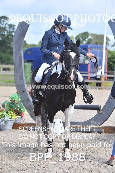 BPP_1988 - DERBY CLASS 5 - 60CM