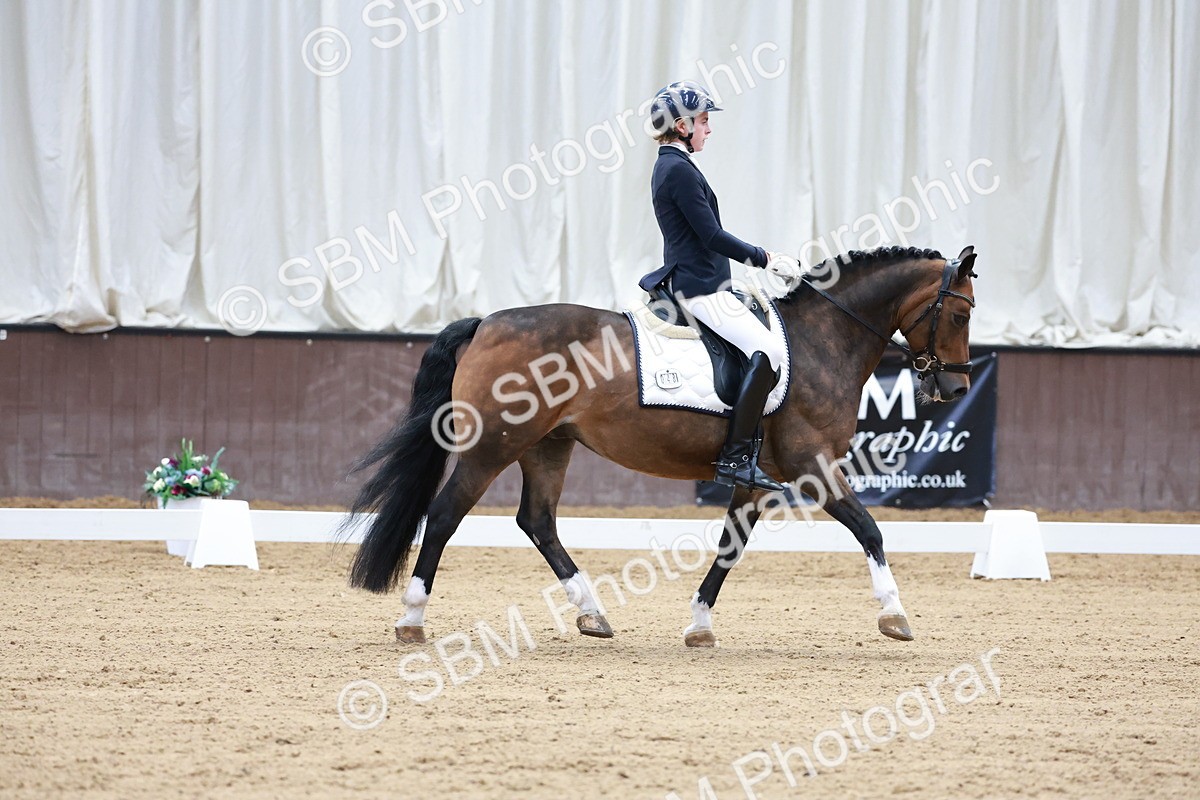 SBM_017136 - Class15 - FEI Pony