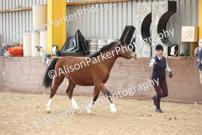 20251109-0898 - Class 26 - 2 and 4 Year Olds