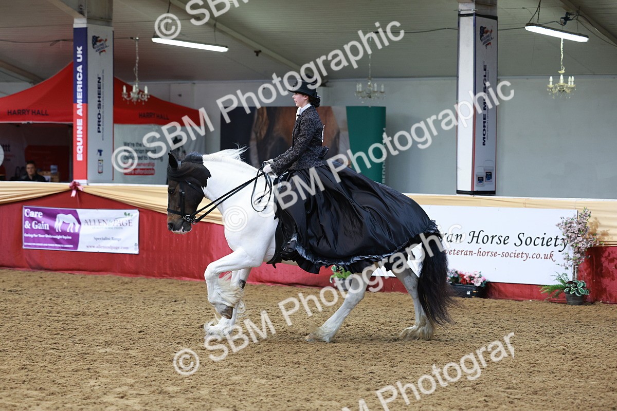 SBM_13782 - Class 106 - Ridden Costume -Astride Adult (15-19)