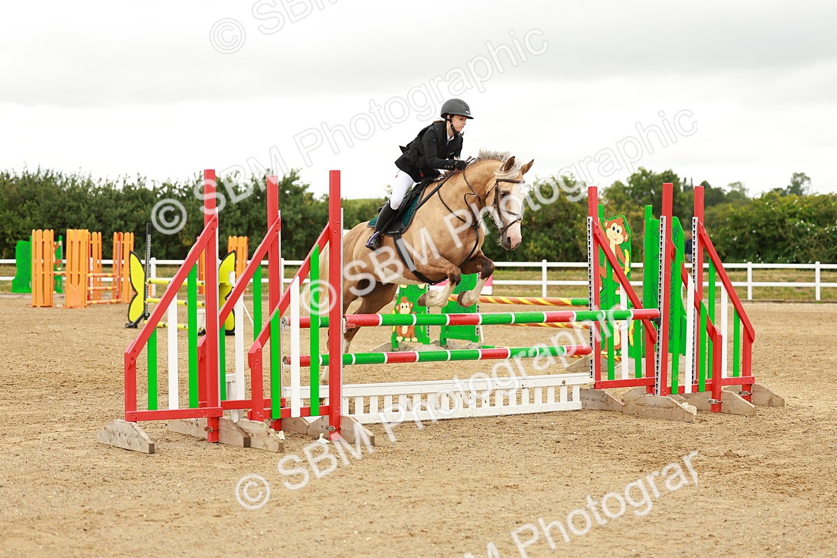SBM_001600 - Class 9 - Senior British Novice - 90cm