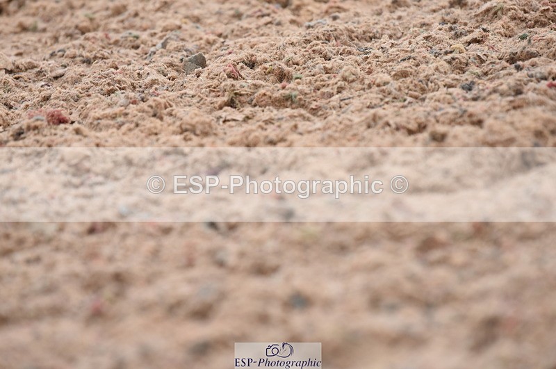 230708A-144220-03123 - Novice 24