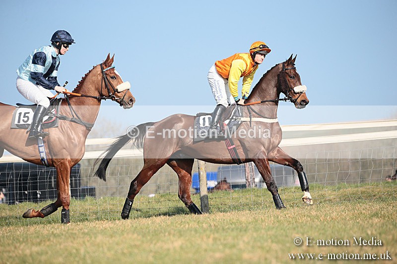 PtP 230219 277 - Vine & Craven Point-To-Point - Barbury 23/02/19