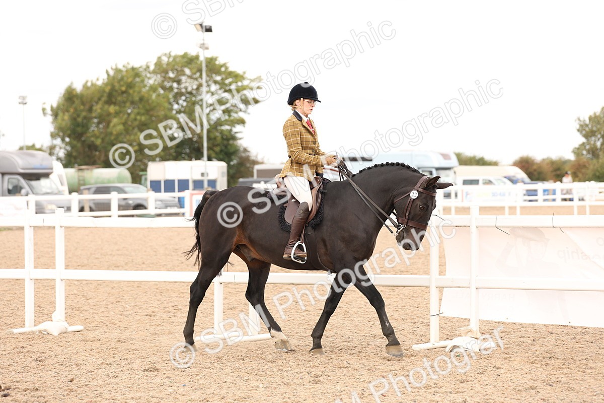 SBM_16473 - Class 212 - Ridden Hunter - Small