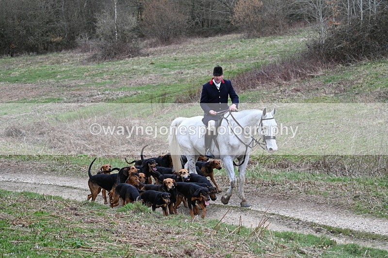 WJ7_7313 - Walk Home