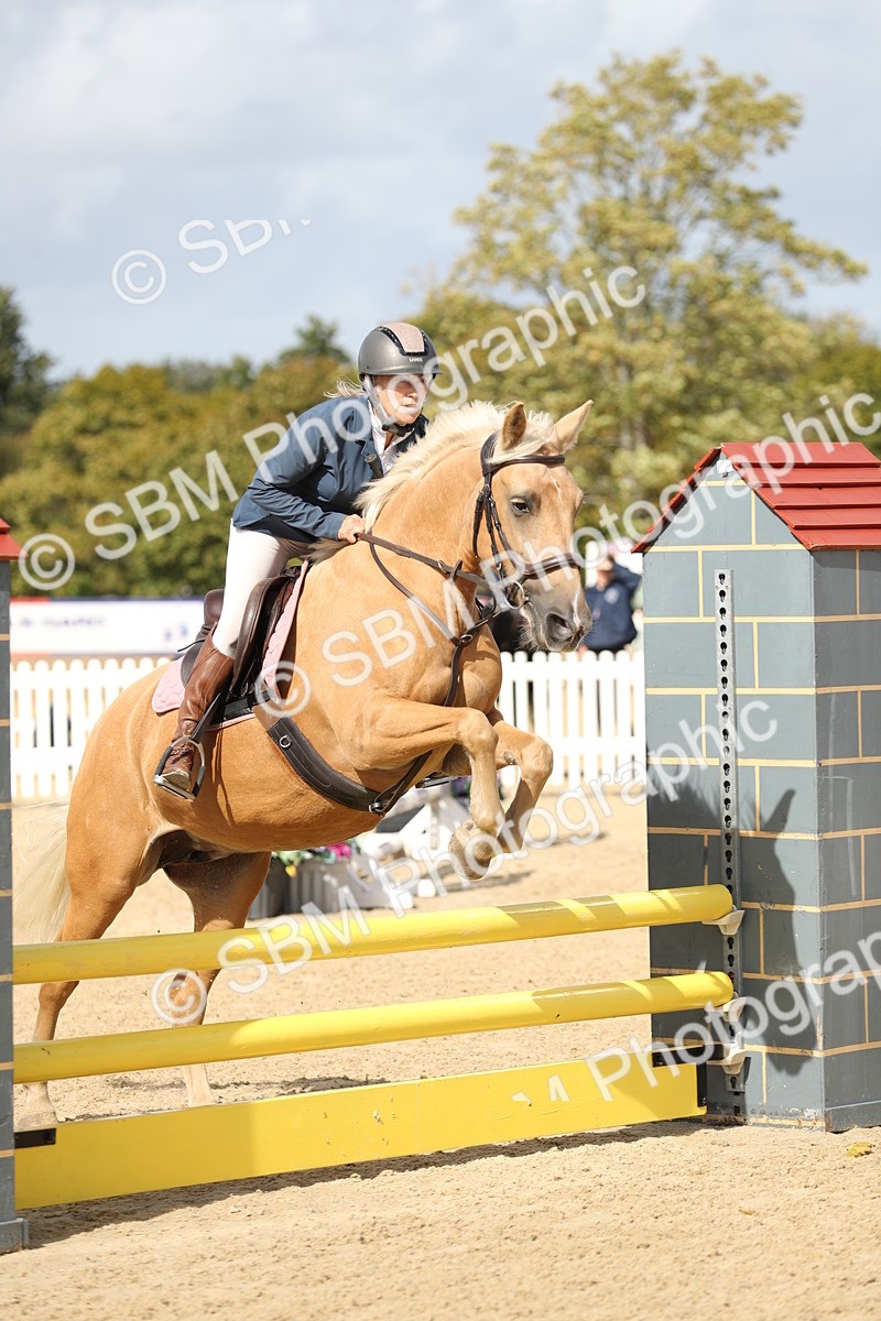 SBM_08442 - J30 - Senior Horse & Pony 70cm Championship