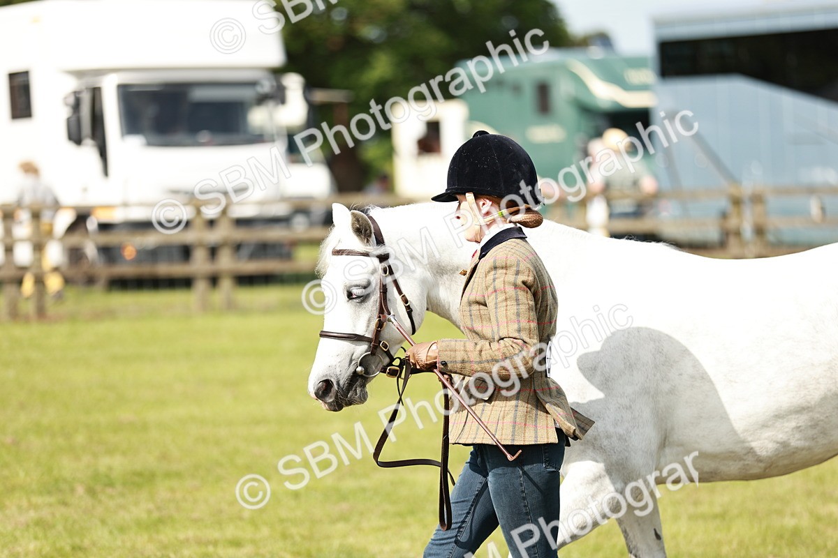 SBM_01643 - Class 14-23 - Mountain & Moorland In Hand Non Welsh
