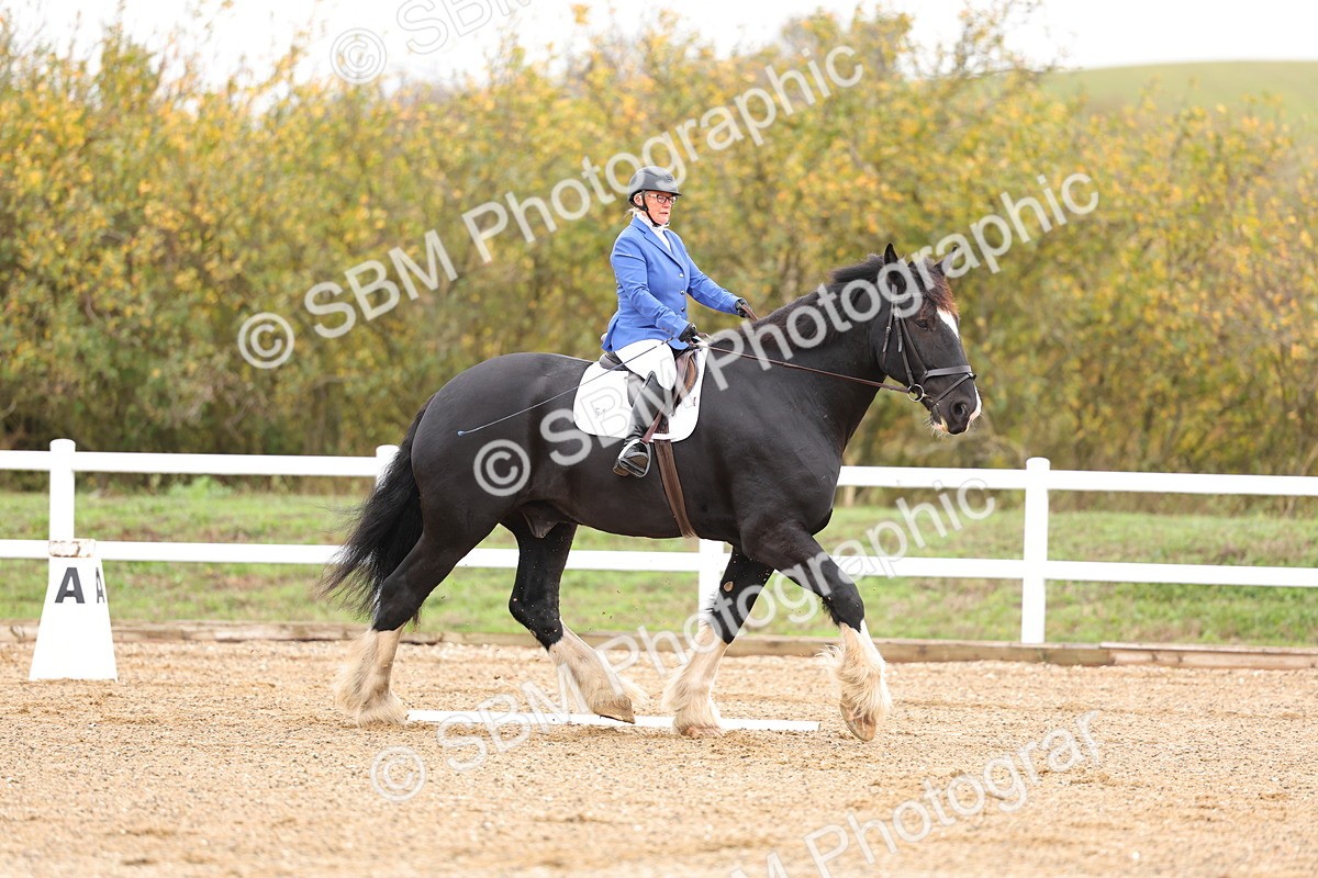 SBM_000085 - Intro 2