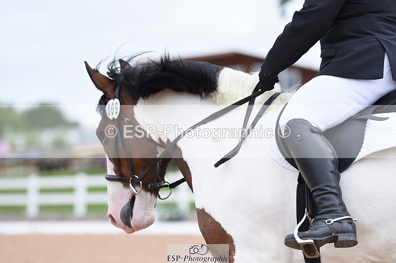 230702A-104002-08475 - Cls 17+18 Prelim 2